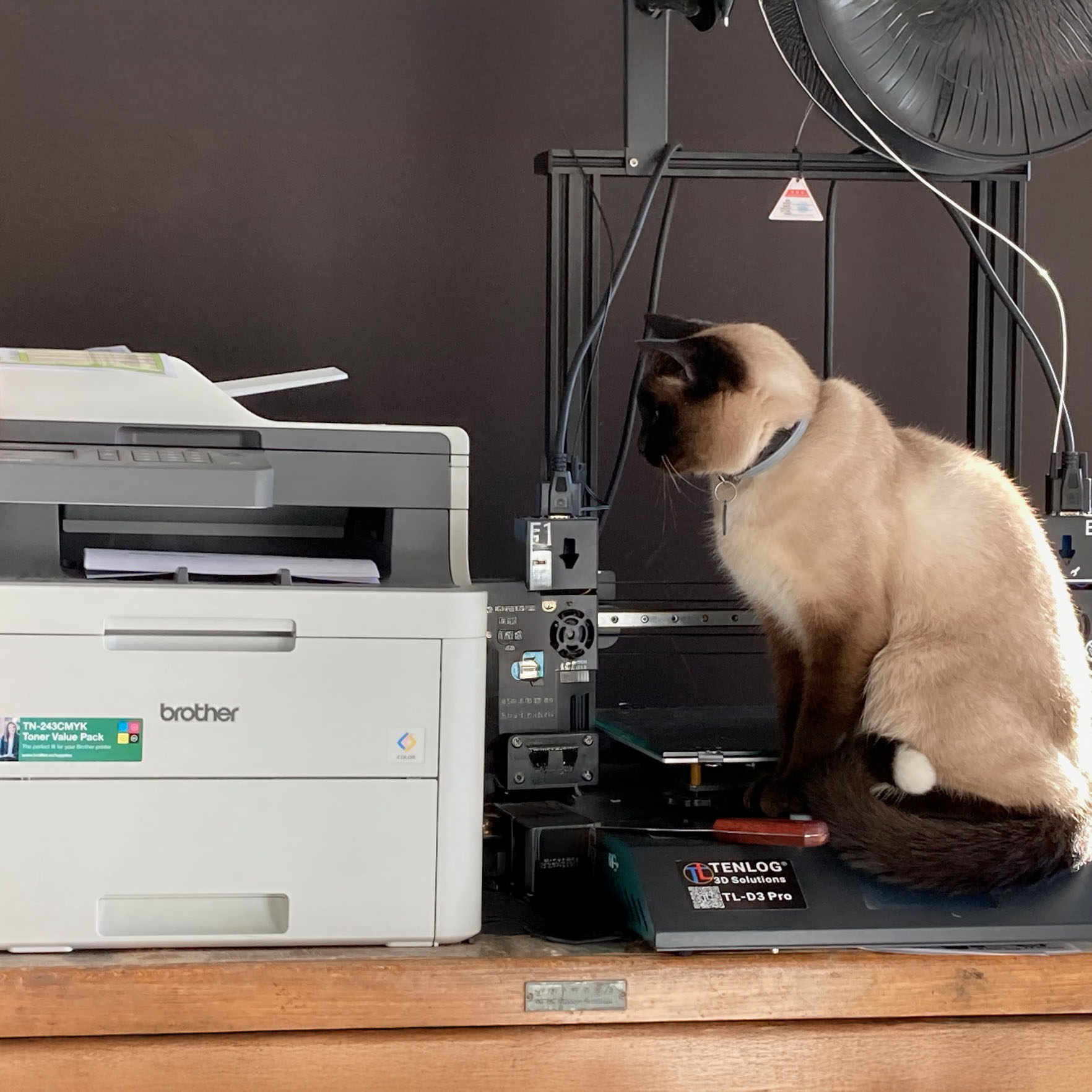 Cat sitting on 3D printer watching a laser printer